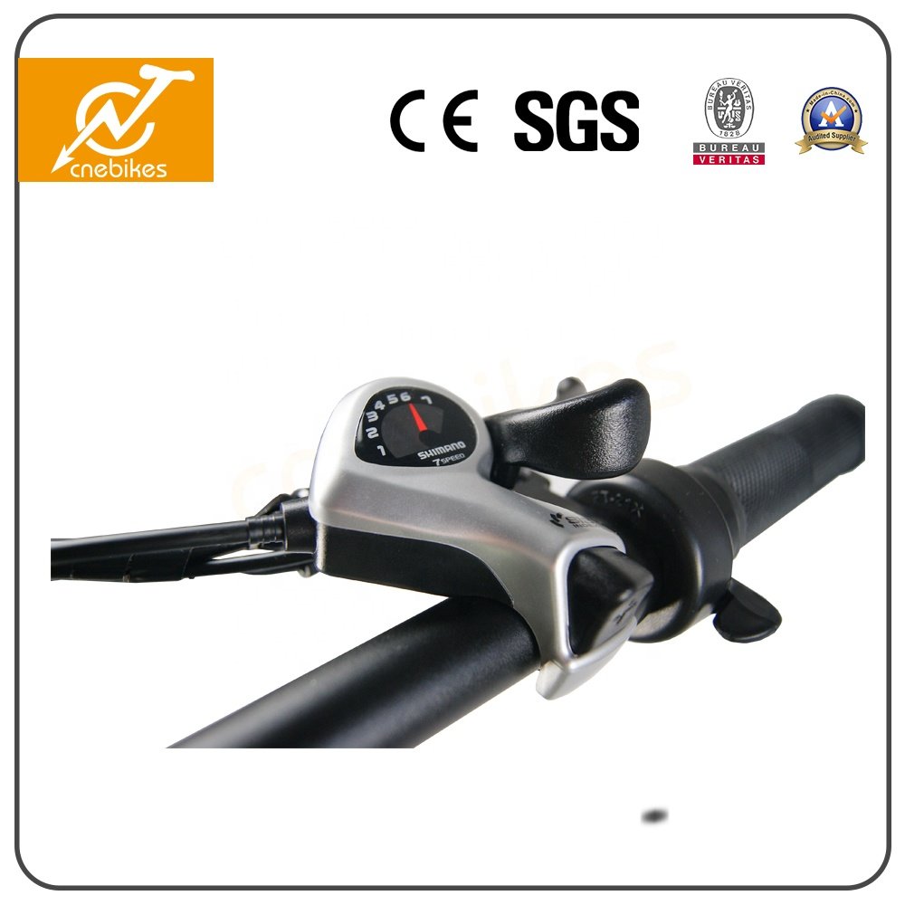 20inch Folding Electric Bike Lamplight 36v 350w Ebike Built-in Battery Folding City Bike Electric Bicycle