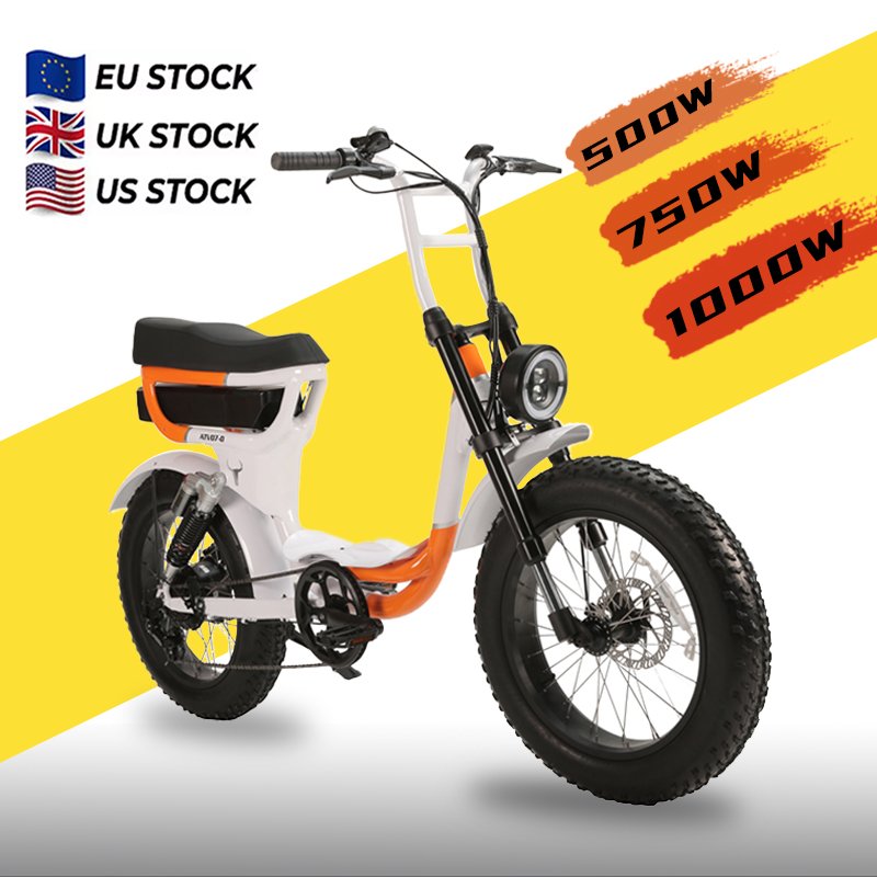 Mountain Snow Fat Tire Electric Bicycle Electric City Bike EU USA Stock 48V 1000W Motor Electric Bike ebike 15Ah Battery