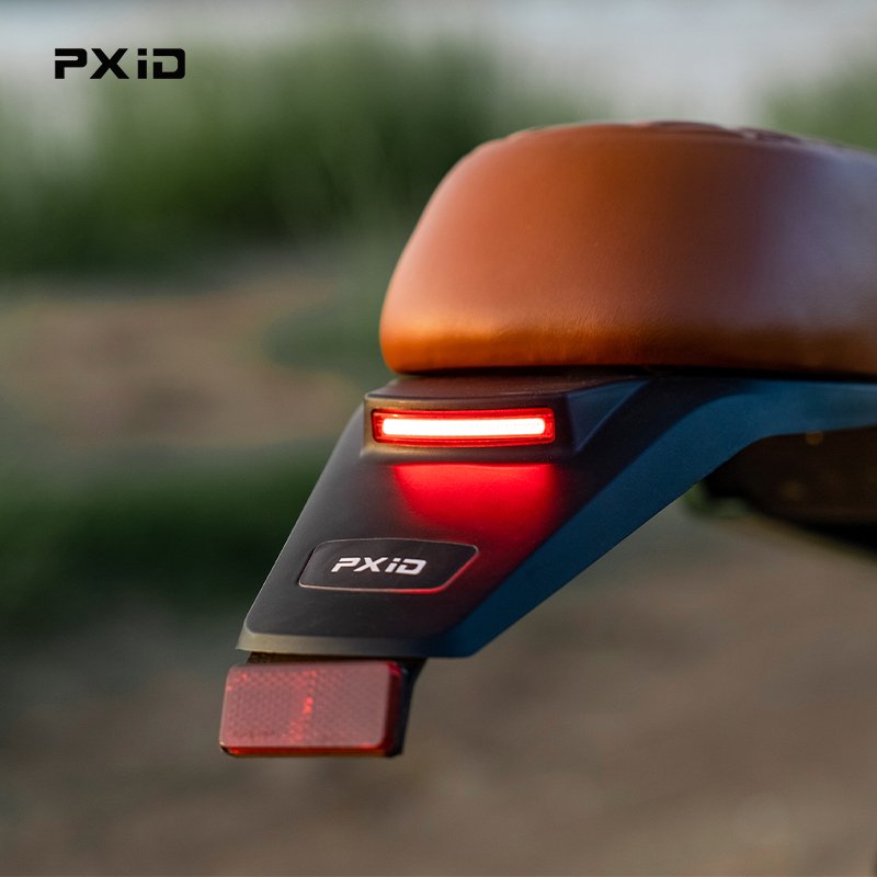 PXID Wholesale 20 Inch x 4.0 Inch Wheel Size Fat Tire E-bike Steel Frame 750W 1200W 48V Electric Mountain Bike