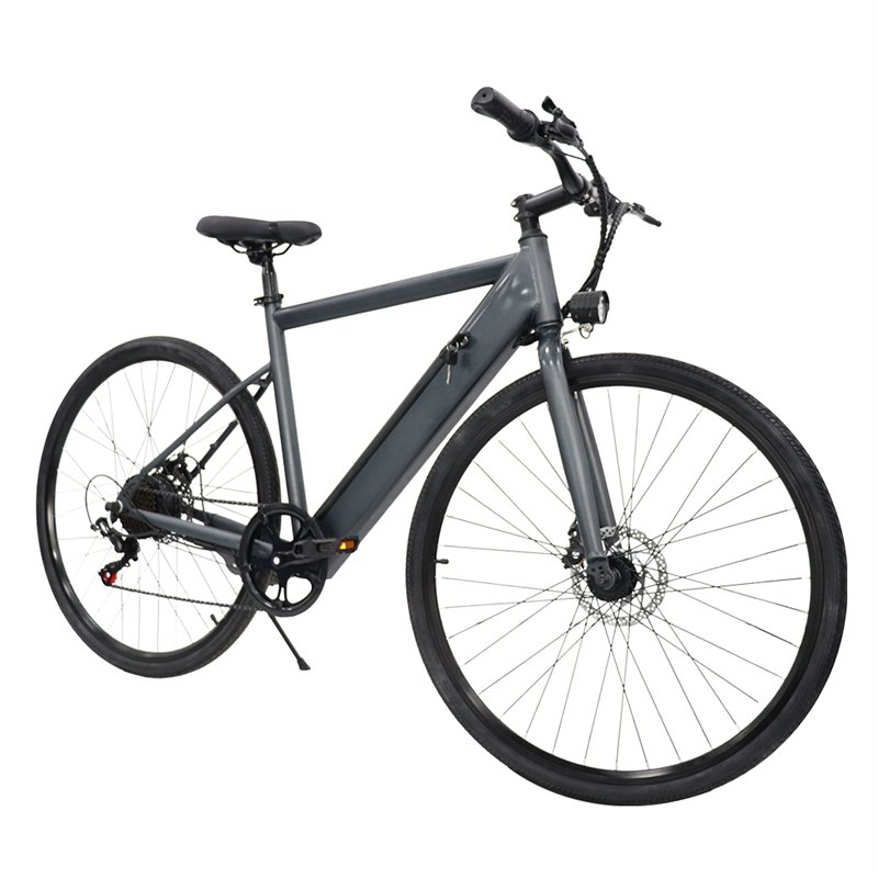 America Electric Bicycle 36V Electric city Bike 26inch Off Road Fat Tire Electric Moped Bike Adult Electric Bicycle for sale