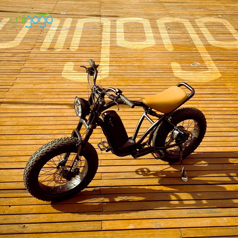 Unigogo Super Hero Electric City Bike Electric Fat Tire 1000w 48v 20ah Electric Road Bike Electric Mountain Bike