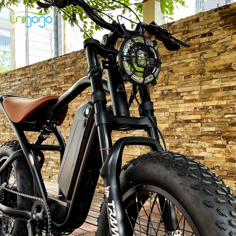 Unigogo Super Hero Electric City Bike Electric Fat Tire 1000w 48v 20ah Electric Road Bike Electric Mountain Bike