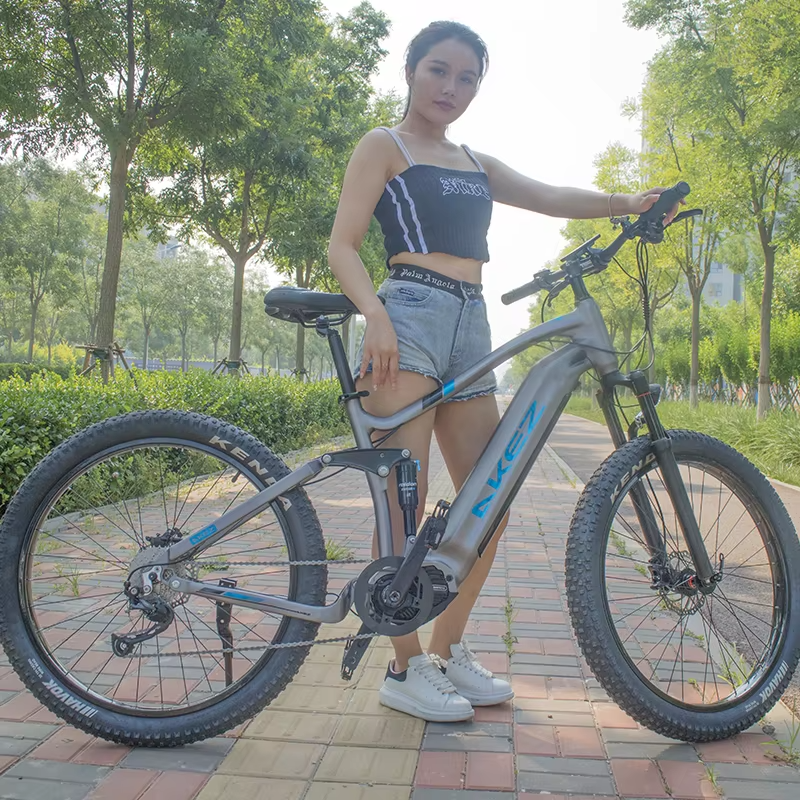 Bafang M600 500W Electric Mountain Bike Full Suspension Mid Drive Motor Ebike Lithium Battery Alloy Frame Fat Tire Bike Model