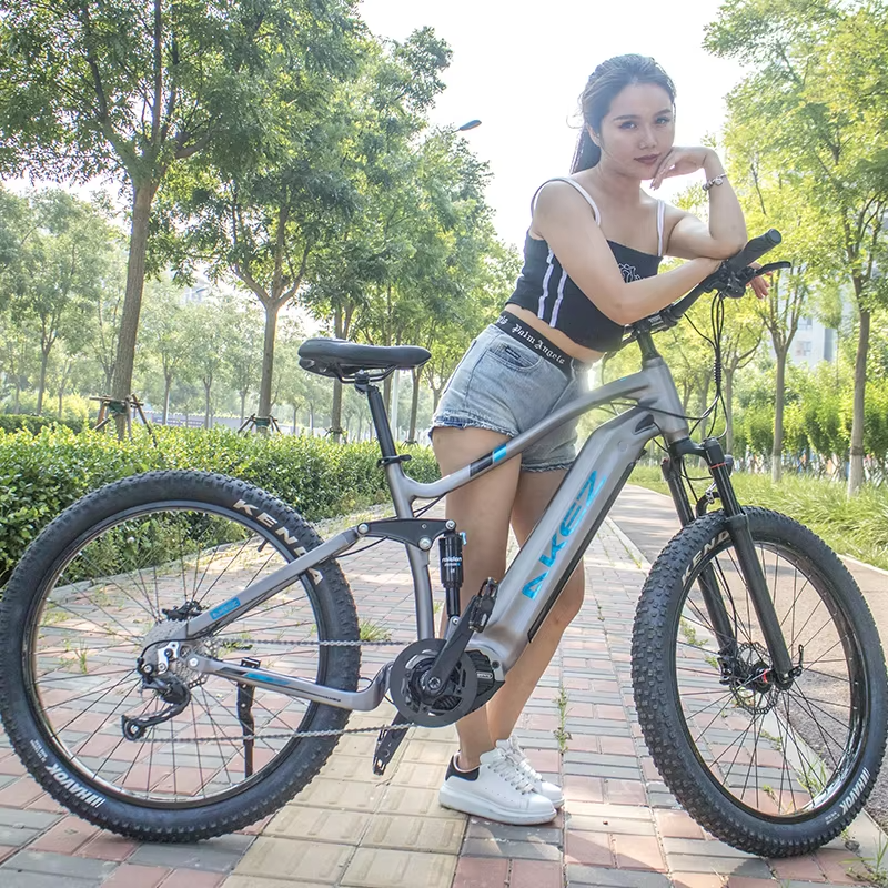 Bafang M600 500W Electric Mountain Bike Full Suspension Mid Drive Motor Ebike Lithium Battery Alloy Frame Fat Tire Bike Model
