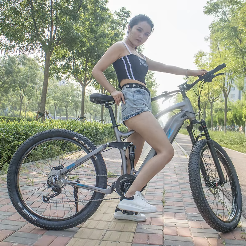Bafang M600 500W Electric Mountain Bike Full Suspension Mid Drive Motor Ebike Lithium Battery Alloy Frame Fat Tire Bike Model