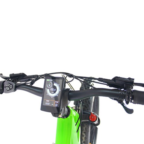 Fashion Stealth 48v10AH battery 26 inch carber fiber Frame Electric Mountain Bike