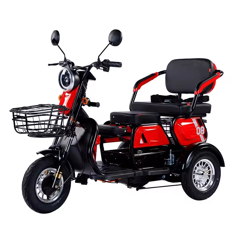 Hot sale Electric tricycle 1000W adult fashion three wheel cargo Electric bike no battery electric tricycle