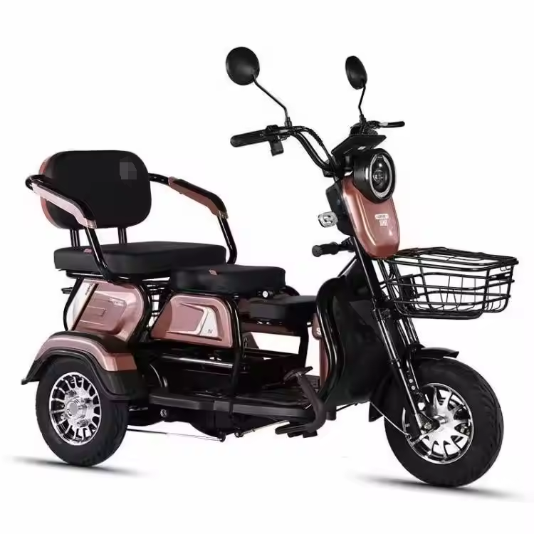 Hot sale Electric tricycle 1000W adult fashion three wheel cargo Electric bike no battery electric tricycle