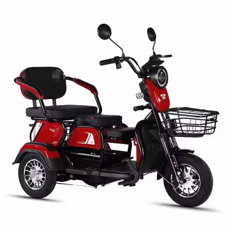 Hot sale Electric tricycle 1000W adult fashion three wheel cargo Electric bike no battery electric tricycle