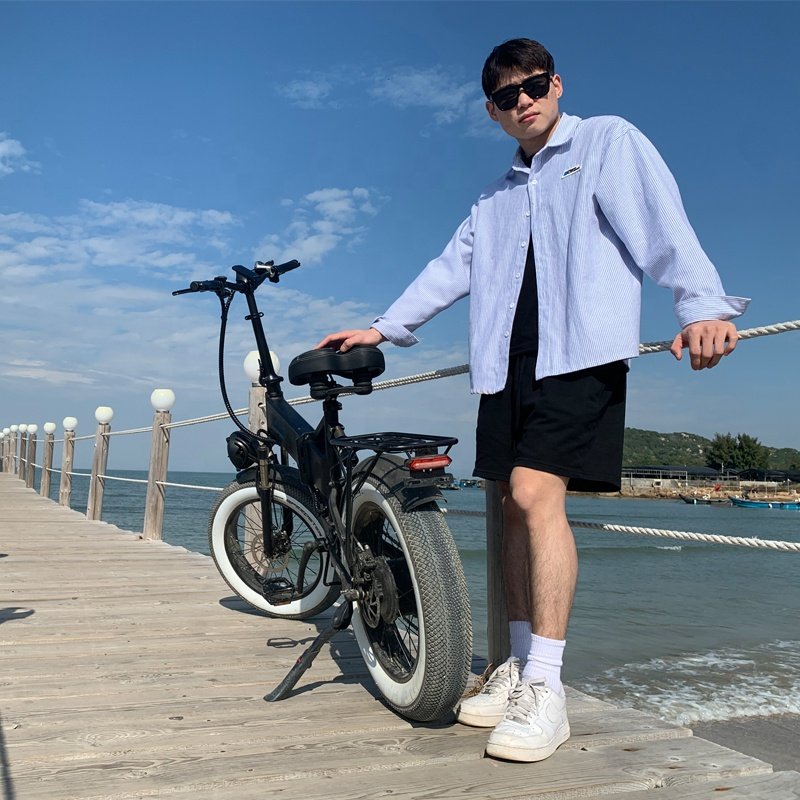 EU Warehouse Fast 250w 20 Inch 36V Front suspension Aluminum Alloy Fat Tire Folding Electric Mountain Bike