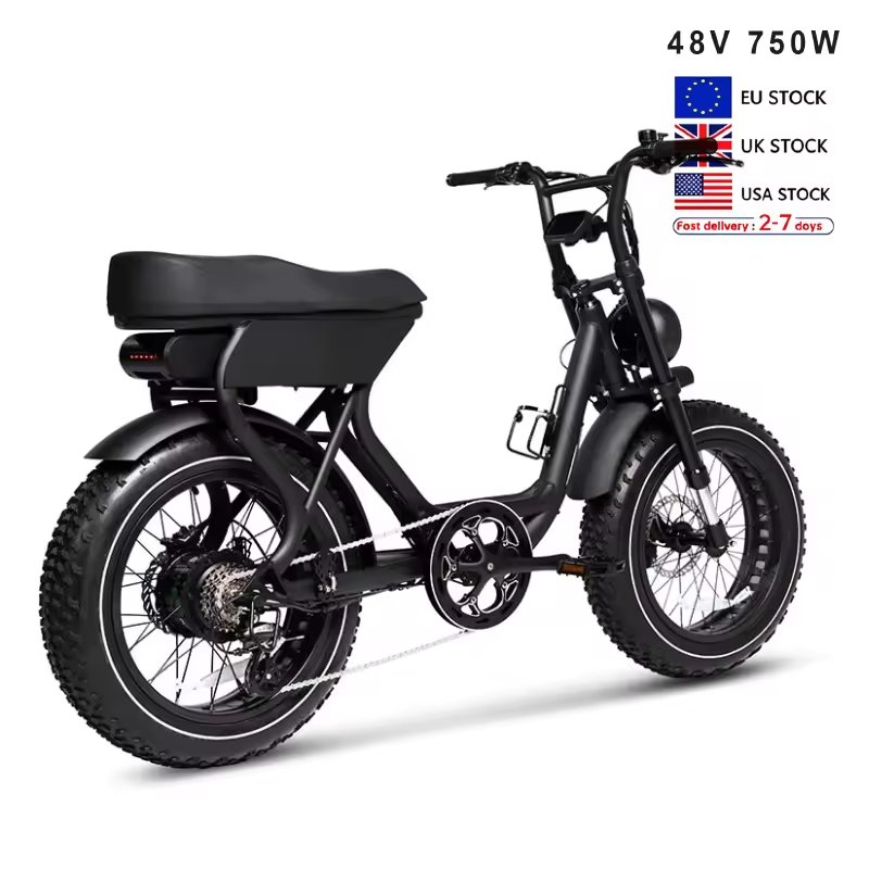 electric fat tire bike hydraulic electric mountain bike brake ebike road ebike EU warehouse electric city bike 250w 750w fatbike