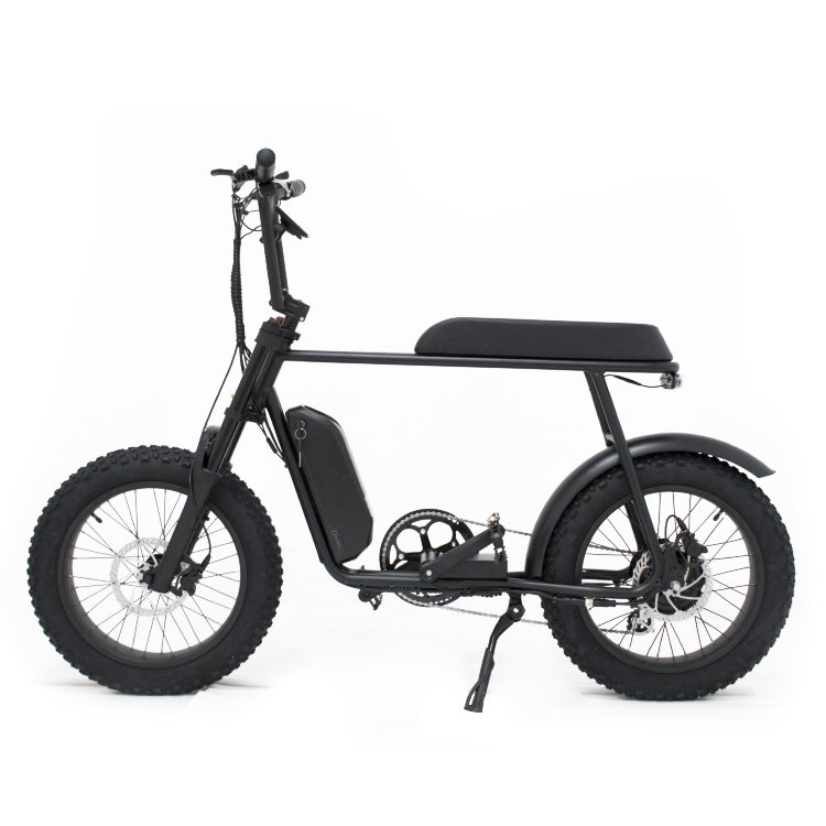 Mario 20 Inch Fat Tire Electric Mountain Bike Big Power 48V 1000W 750W Off Road Electric Bicycle Ebike