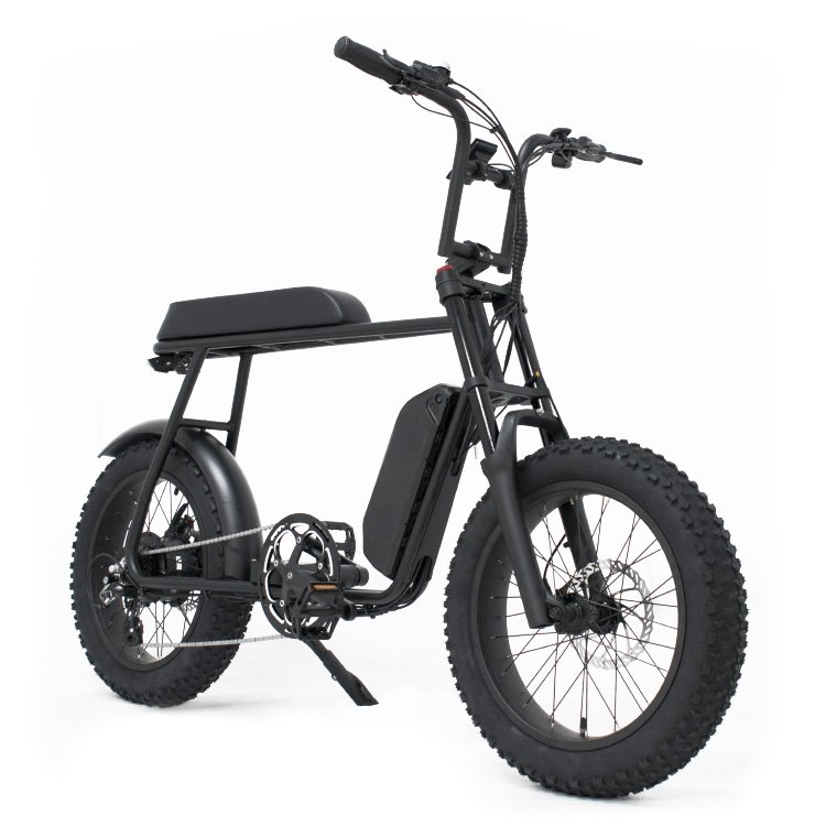 Mario 20 Inch Fat Tire Electric Mountain Bike Big Power 48V 1000W 750W Off Road Electric Bicycle Ebike