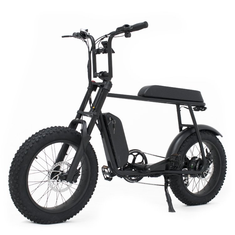 Mario 20 Inch Fat Tire Electric Mountain Bike Big Power 48V 1000W 750W Off Road Electric Bicycle Ebike
