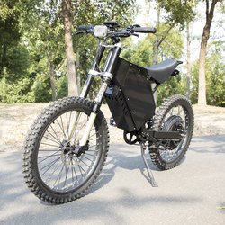 1000w ebike
