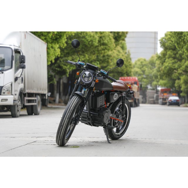 Electric Motorcycle with pedals for adults offer DOT Certification Suitable for Various Terrain Types More Smoothly Driving CG