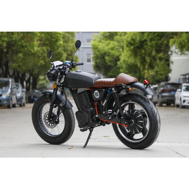 Electric Motorcycle with pedals for adults offer DOT Certification Suitable for Various Terrain Types More Smoothly Driving CG