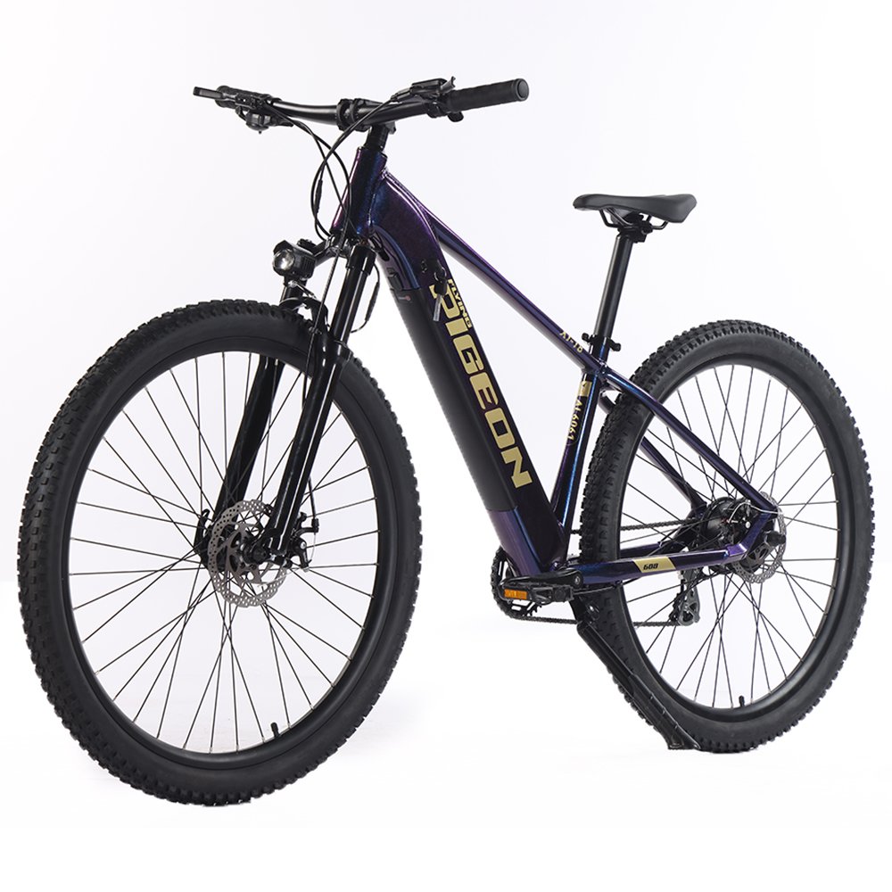 XT181 Exclusive Deal Electric Cycle Shimano Ebike 36V 350W Motor 7speed Electric Mountain Bike