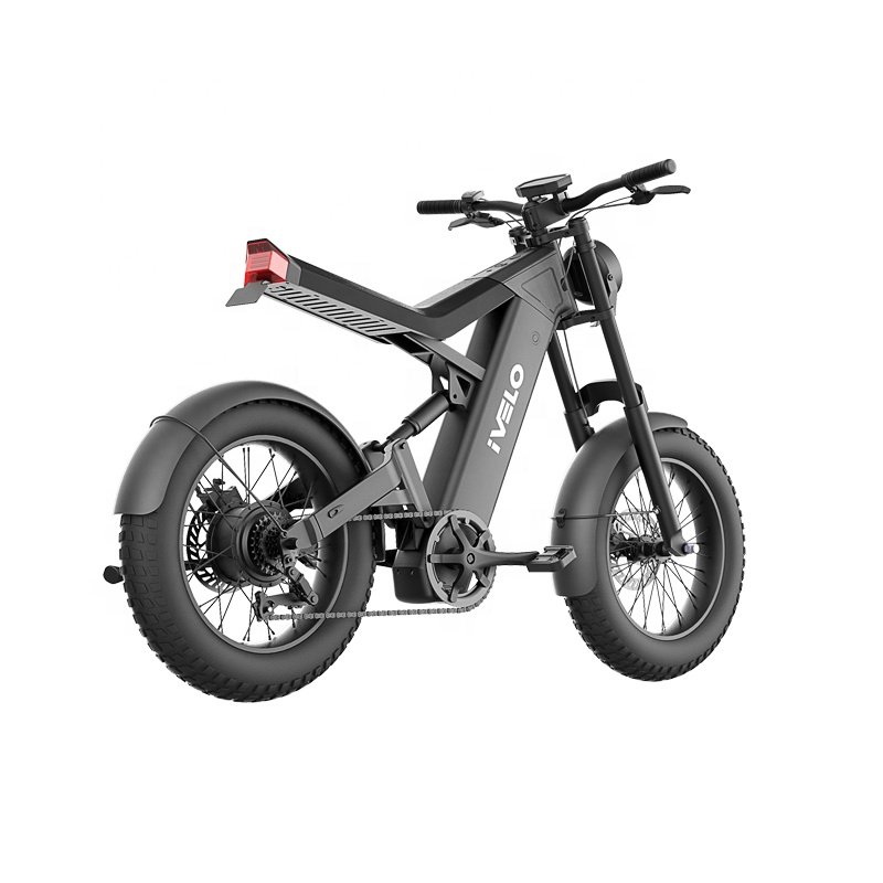New Style 1000W 20" x 4.0 Electric Mountain Bike 48V Electric Bicycle Commuting Sports for Adults