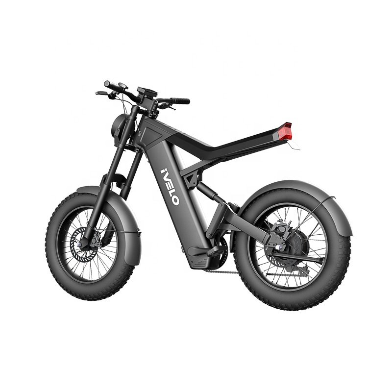 New Style 1000W 20" x 4.0 Electric Mountain Bike 48V Electric Bicycle Commuting Sports for Adults