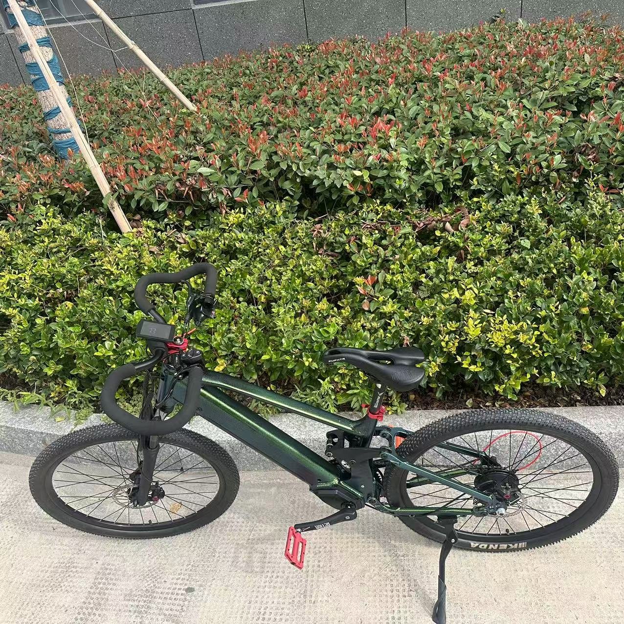 2024 New 26-Inch Electric Mountain Bike with Integrated 250W Battery 48V Lithium Power Supply Popular in Europe