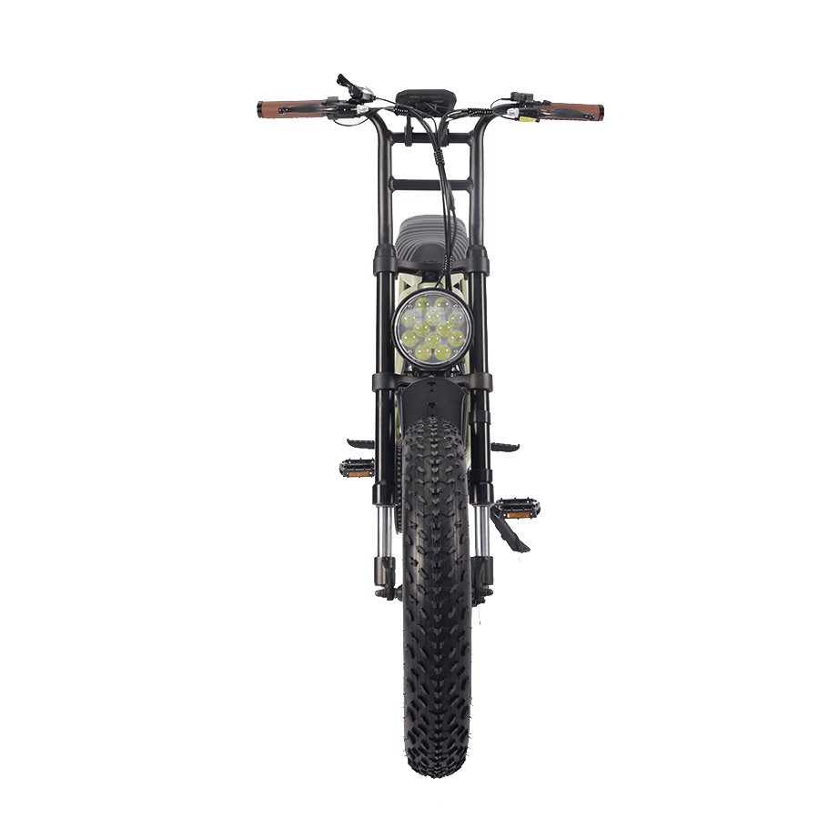 Electric Dirt Bike 48V 1000W Electric Bike 20x4.0 Fat Tire Electric Bike