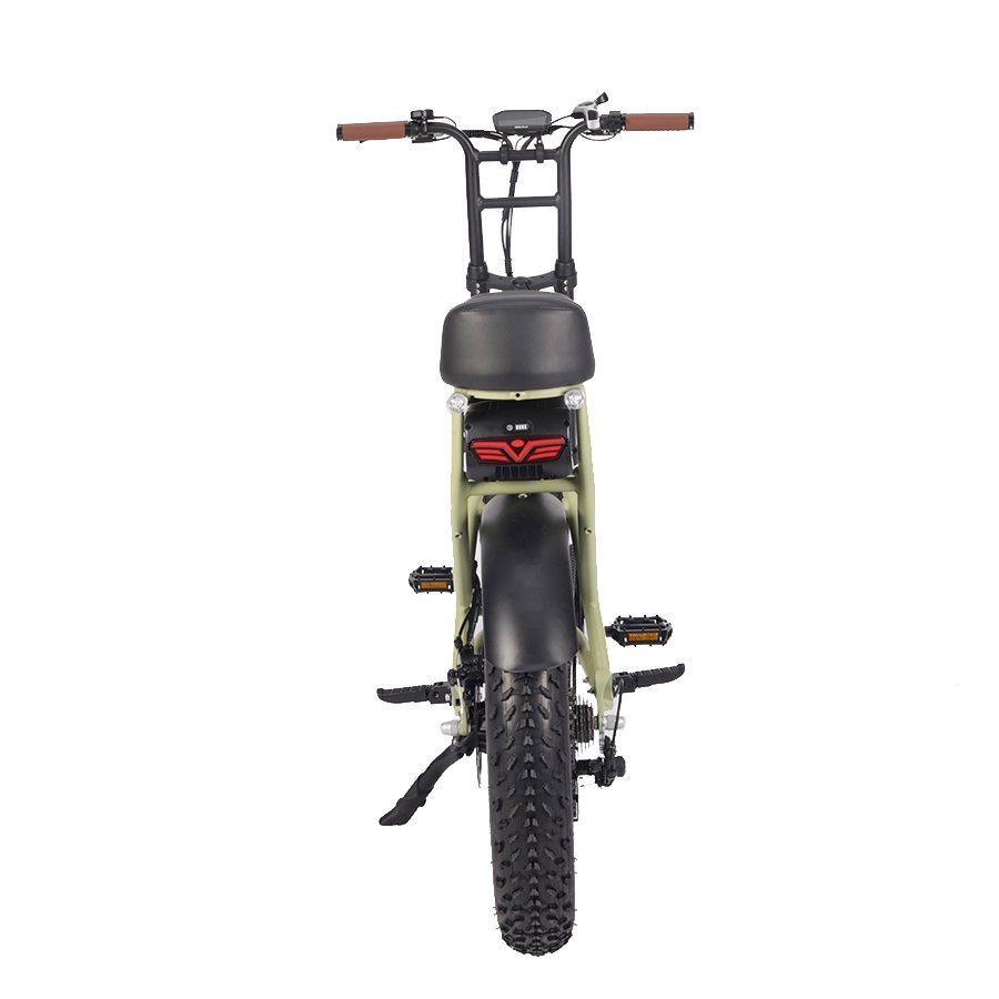 Electric Dirt Bike 48V 1000W Electric Bike 20x4.0 Fat Tire Electric Bike