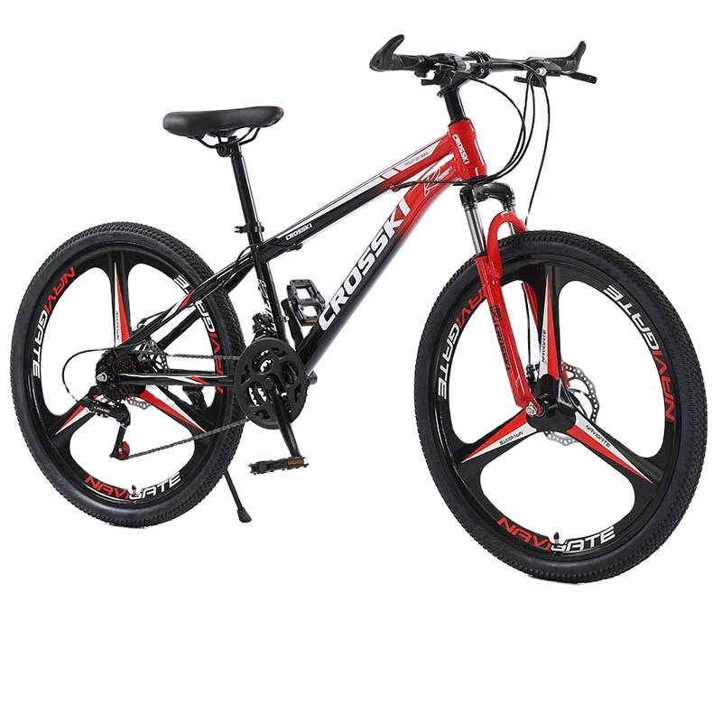 Factory Direct 21-Speed 6-Inch Steel Frame Mountain Bike with Disc Brake and Ordinary Pedal Cheap 24 Speed Bike