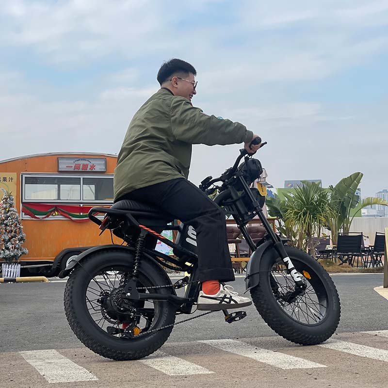 EU Warehouse europe USA NEW 2024 MODEL V20 Fatbike ELECTRIC eBIKE mountain E BIKE 20inch fat tire bicycle electric e-bike