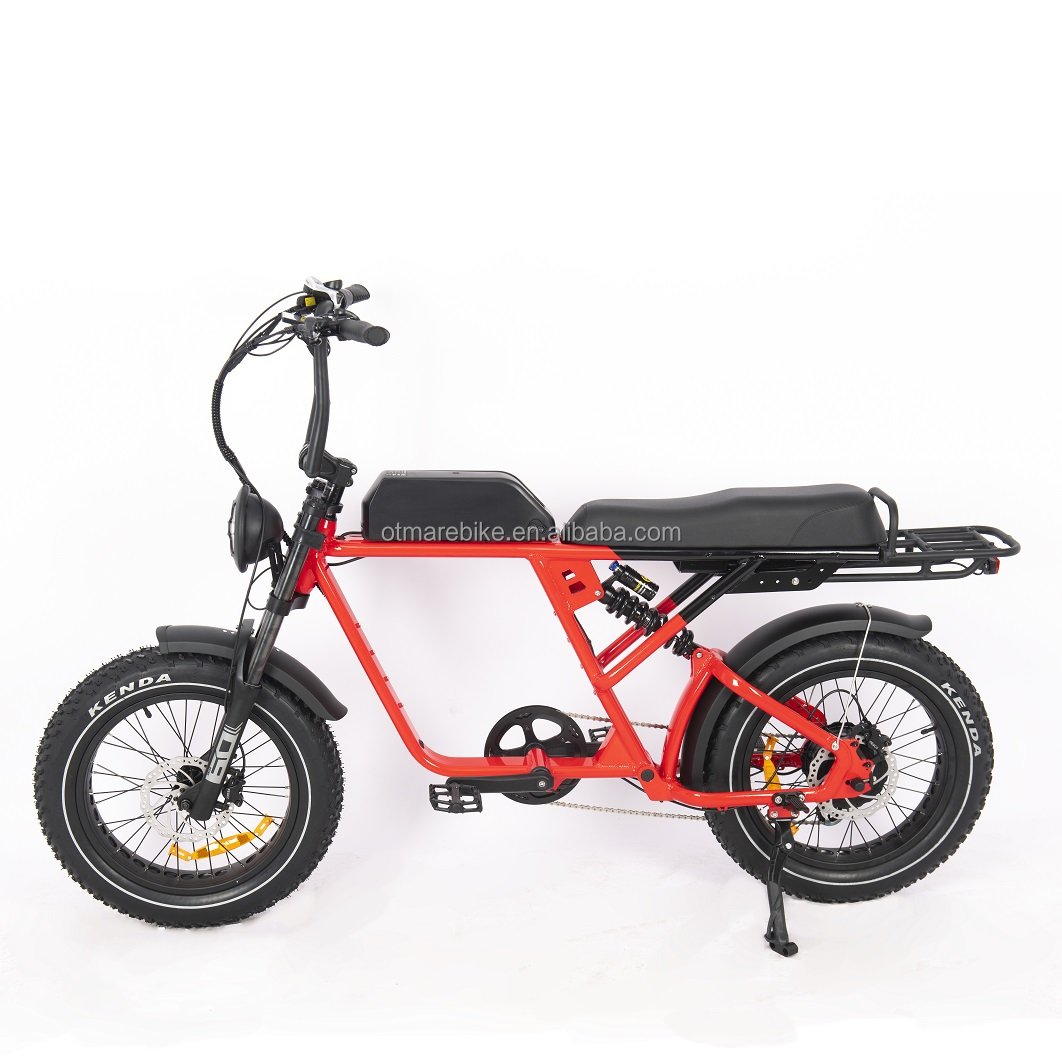 Oem Odm Electric Bike Factory New Design Full Suspension Rear Electric Bicycle Double Battery Dual 750w 1000w Ebike