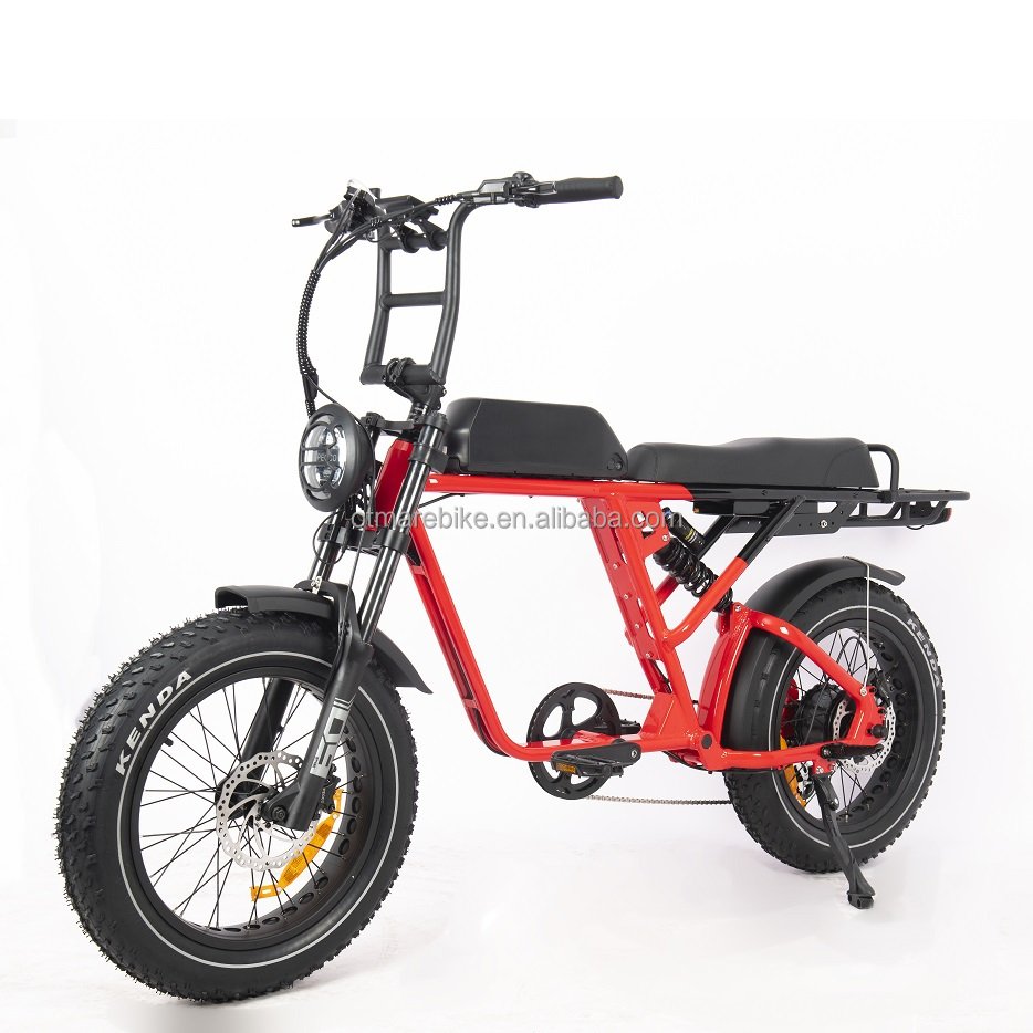 Oem Odm Electric Bike Factory New Design Full Suspension Rear Electric Bicycle Double Battery Dual 750w 1000w Ebike