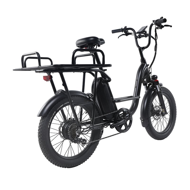 Best Seller of Electric Bicycle for Delivery Cargo 26 Inch 750w EB11 Watts Ebike Dirtbike Mid Drive Ebike Electronic LCD Display