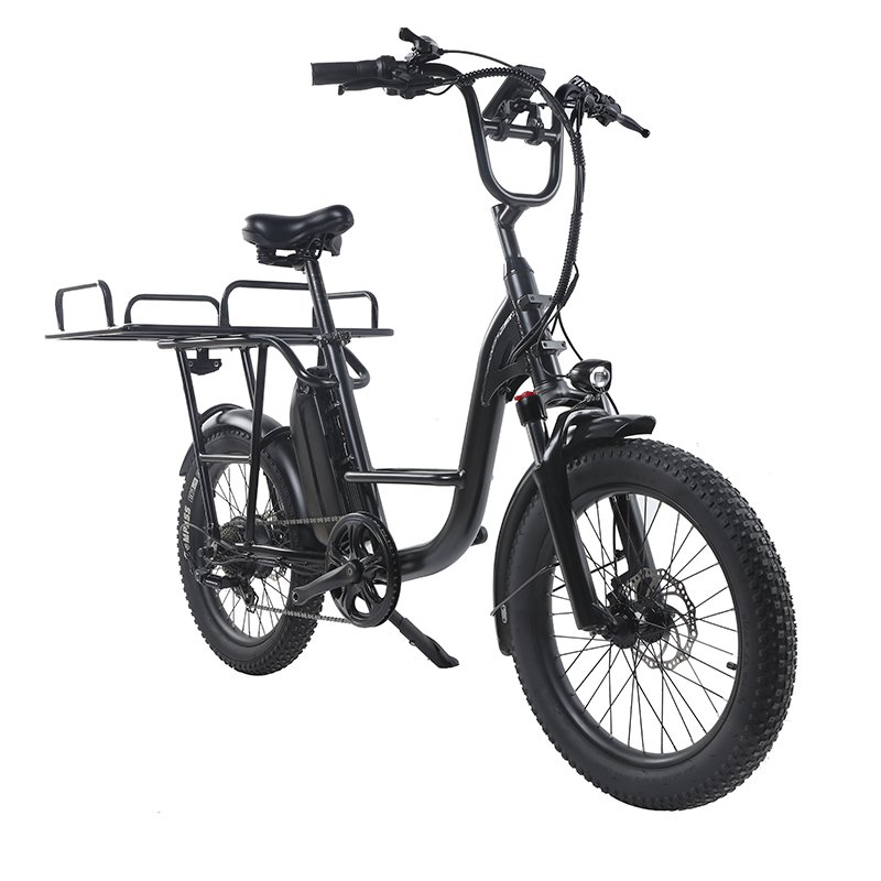 Best Seller of Electric Bicycle for Delivery Cargo 26 Inch 750w EB11 Watts Ebike Dirtbike Mid Drive Ebike Electronic LCD Display