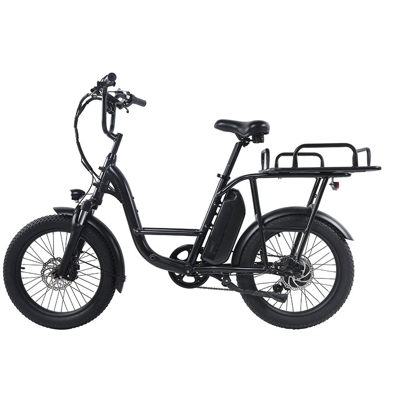 Best Seller of Electric Bicycle for Delivery Cargo 26 Inch 750w EB11 Watts Ebike Dirtbike Mid Drive Ebike Electronic LCD Display