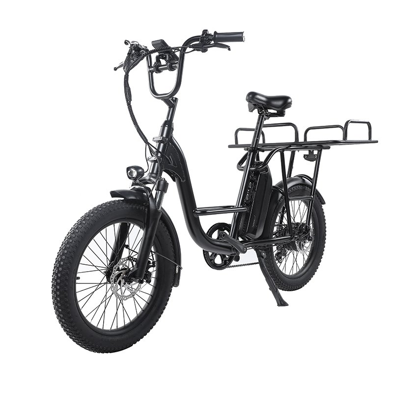 Best Seller of Electric Bicycle for Delivery Cargo 26 Inch 750w EB11 Watts Ebike Dirtbike Mid Drive Ebike Electronic LCD Display