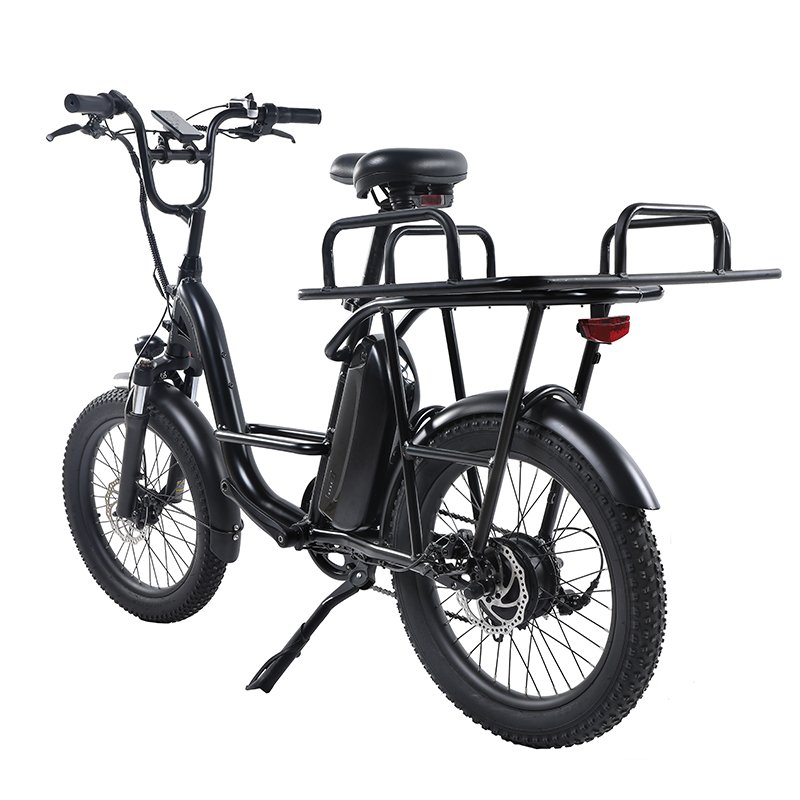 Best Seller of Electric Bicycle for Delivery Cargo 26 Inch 750w EB11 Watts Ebike Dirtbike Mid Drive Ebike Electronic LCD Display