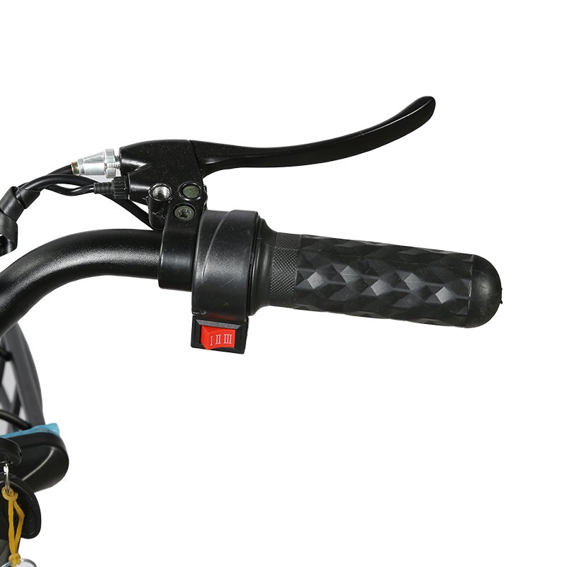 adult battery electronic city e-bike bike 48v 350w electric bicycle