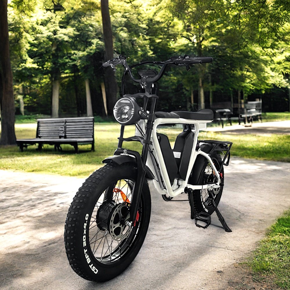 22Ah*2 48v 1000W*2 two batteries + dual motors fat tire 20" all weather off road electric bike 1000w electric bicycle