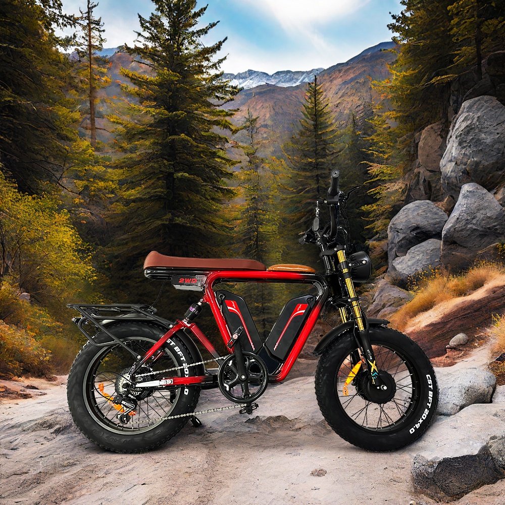 22Ah*2 48v 1000W*2 two batteries + dual motors fat tire 20" all weather off road electric bike 1000w electric bicycle