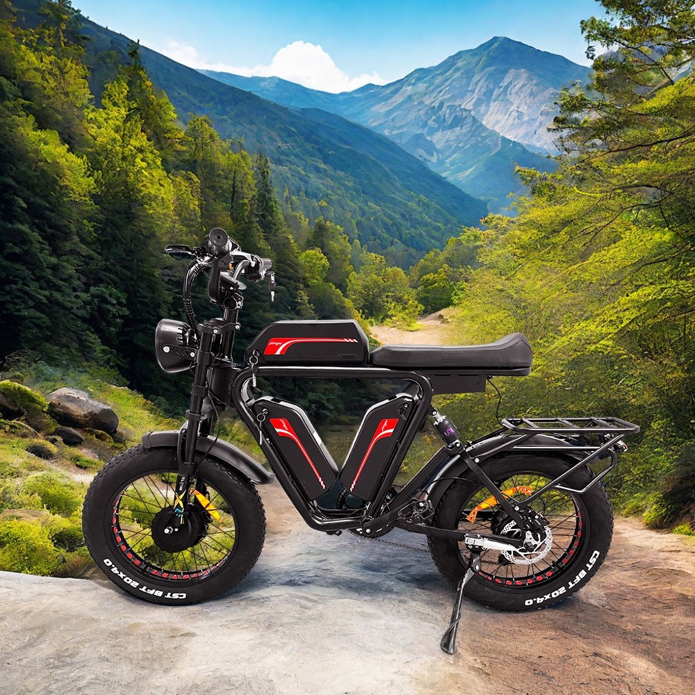 22Ah*2 48v 1000W*2 two batteries + dual motors fat tire 20" all weather off road electric bike 1000w electric bicycle