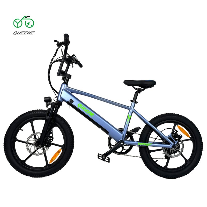 QUEENE Cycle Dirt Mtb Foldable Bicycle Ebike 750W 20 Inch Full Suspension Fat Tire Folding Electric Mountain Bike For Teenagers