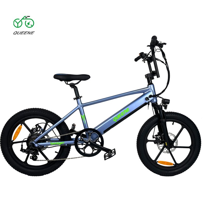 QUEENE Cycle Dirt Mtb Foldable Bicycle Ebike 750W 20 Inch Full Suspension Fat Tire Folding Electric Mountain Bike For Teenagers