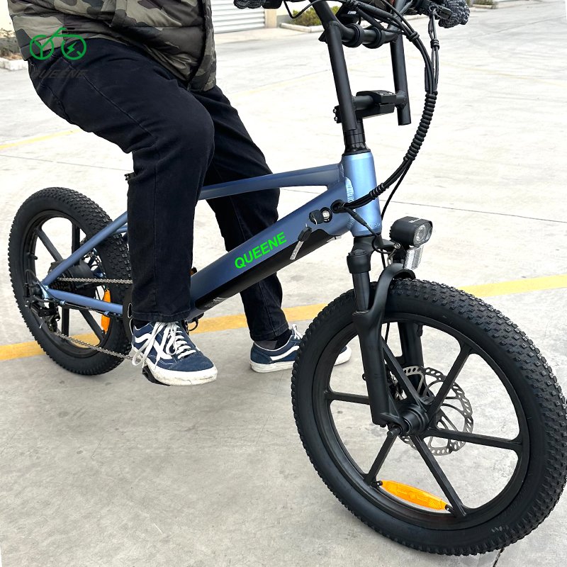 QUEENE Cycle Dirt Mtb Foldable Bicycle Ebike 750W 20 Inch Full Suspension Fat Tire Folding Electric Mountain Bike For Teenagers