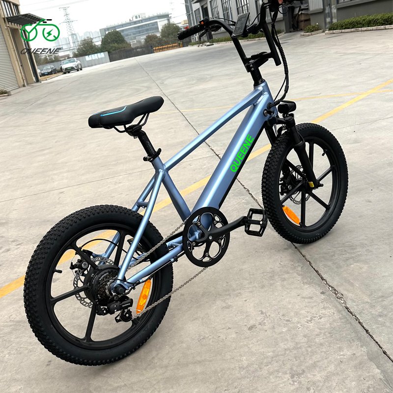 QUEENE Cycle Dirt Mtb Foldable Bicycle Ebike 750W 20 Inch Full Suspension Fat Tire Folding Electric Mountain Bike For Teenagers