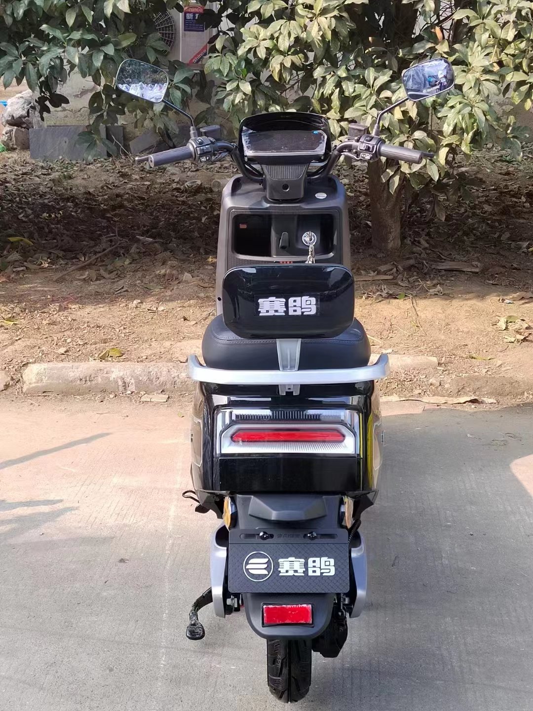 Saige N101 New Fashionable Electric Motorcycle High Power Adult Moped