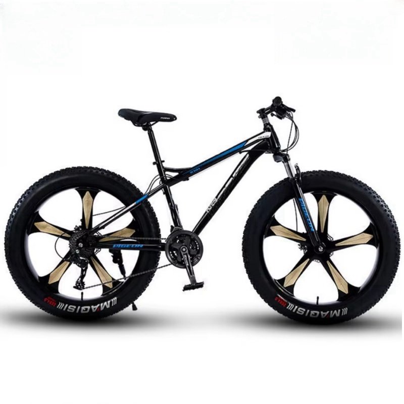 2024 NEW SENYI Factory Price 26 Inch 21 Speed High Carbon Steel Fat Tyre Other Mountain Road Dirty Bike