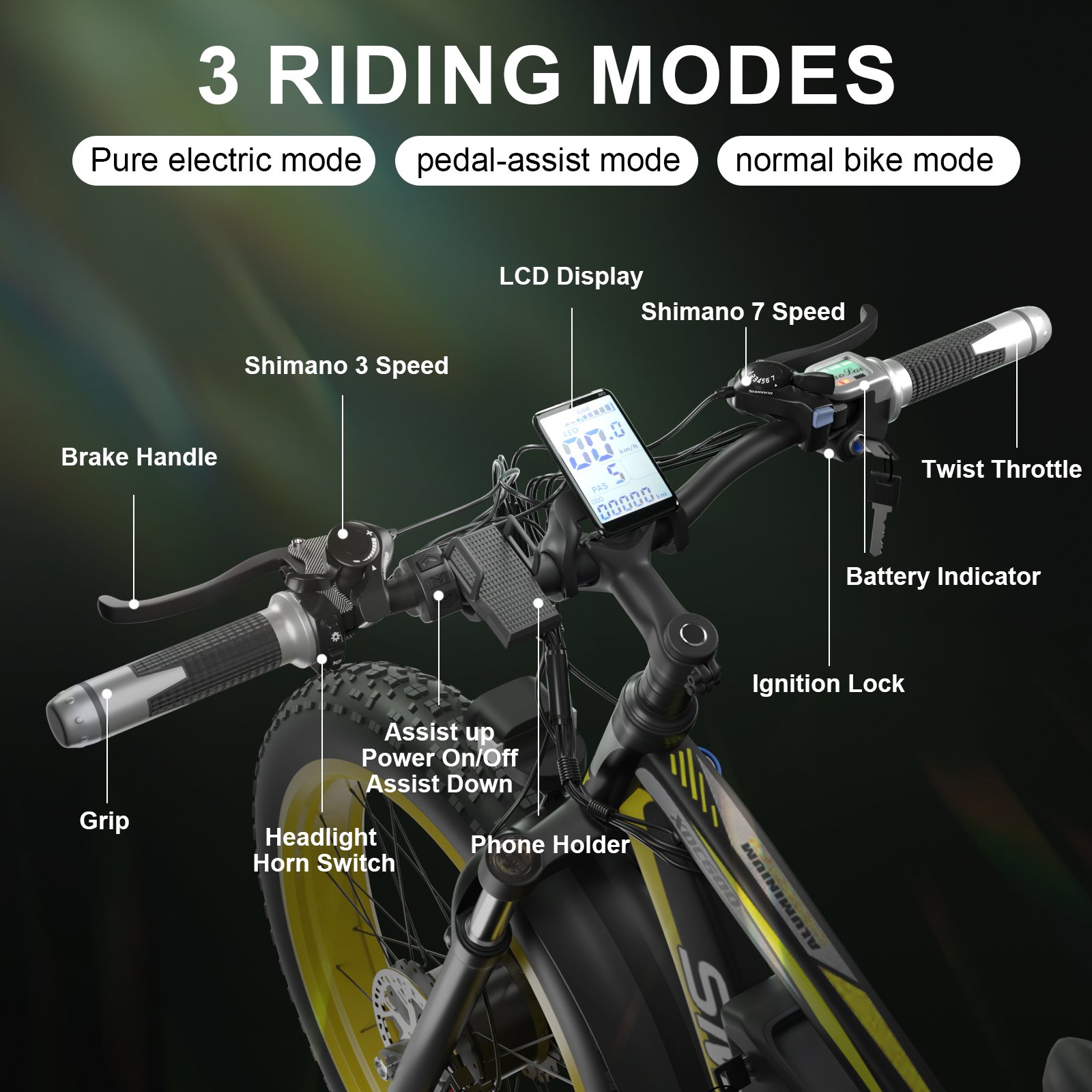 Good Price 26 Inch 48V 1000W Mountain E-Bike Electric Bike Fat Tire Electric Bicycle