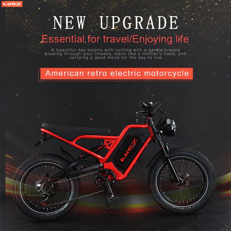 Affordable Medium Electric City Bike Fat Tire All-Terrain Mountain Off-Road eBike for Sale