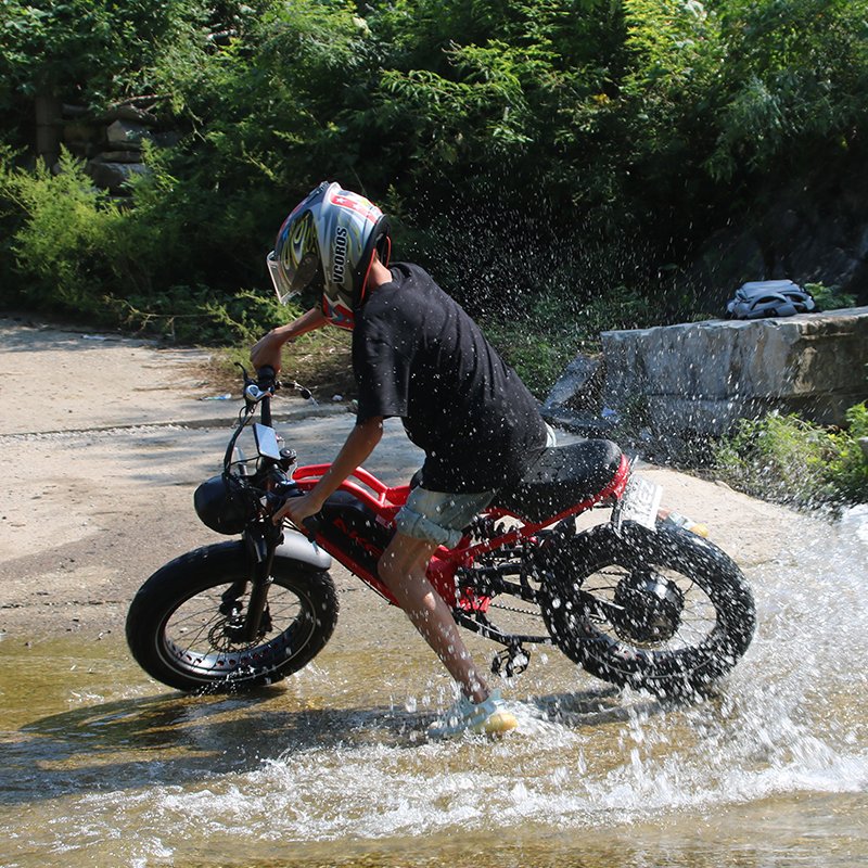 Affordable Medium Electric City Bike Fat Tire All-Terrain Mountain Off-Road eBike for Sale