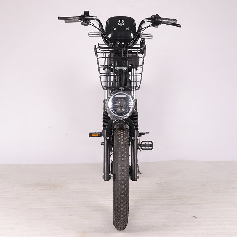 2024 New Takeout 20 inch Factory low price cargo fat tire hybrid city for courier e-bike monster dirt mountain electric bike